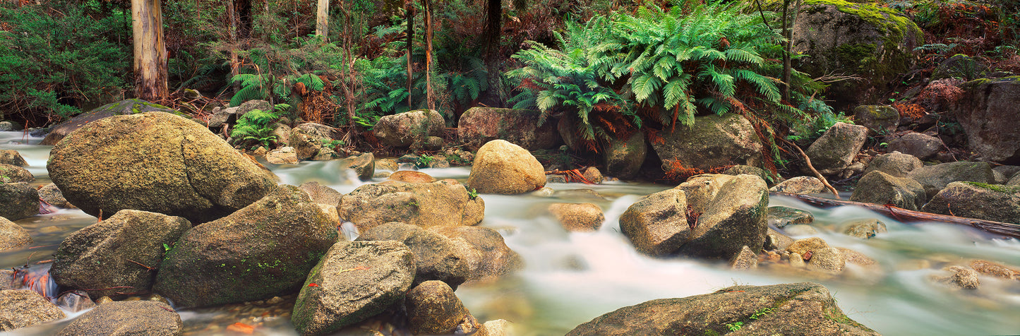Essence of Life, Mount Buffalo VIC