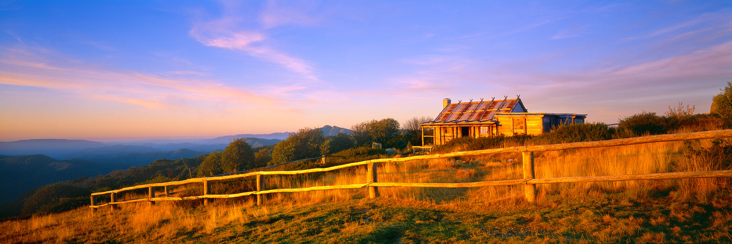 Golden Glow, Mt Stirling VIC