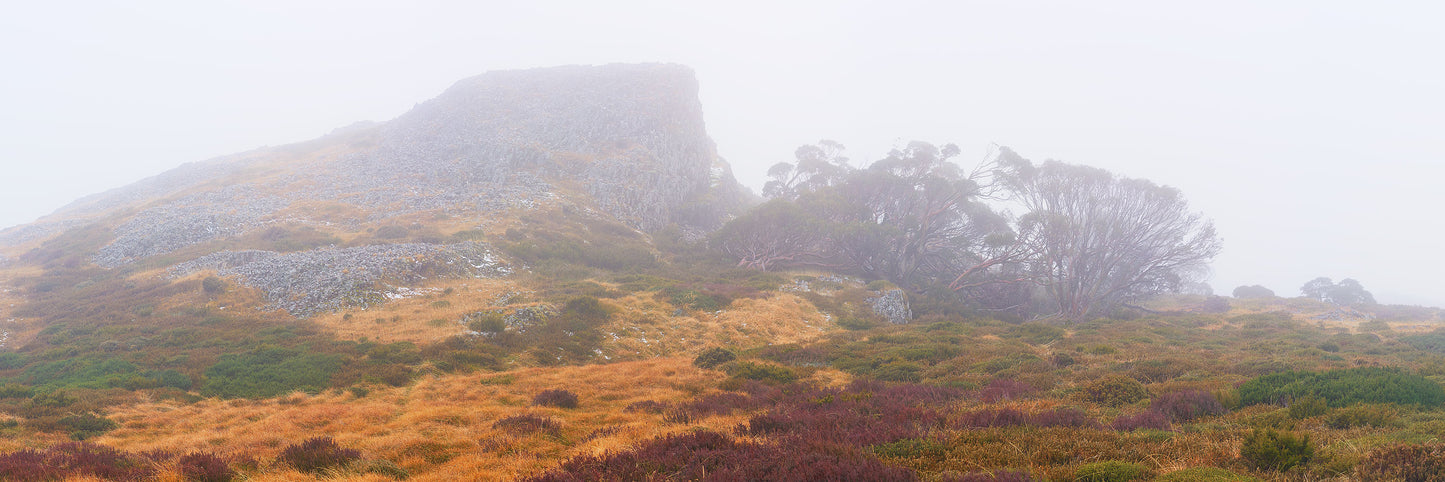 Mists of Time, Bogong High Plains VIC