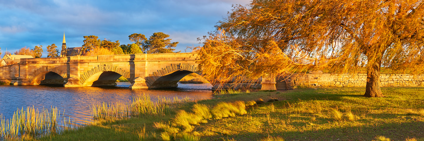 Shadows of Days Past, Ross TAS