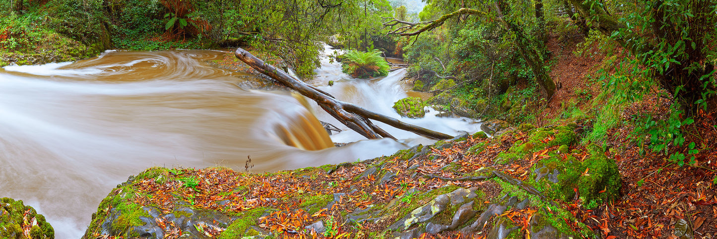 With the Flow, Ridgley TAS