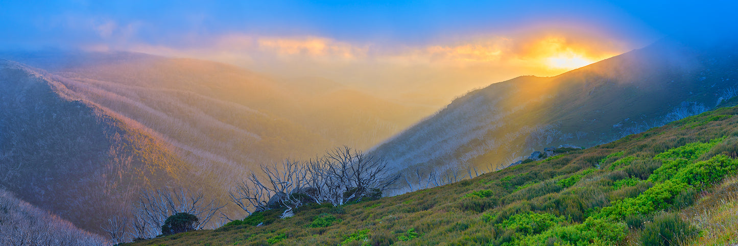 Wildness, Falls Creek, VIC