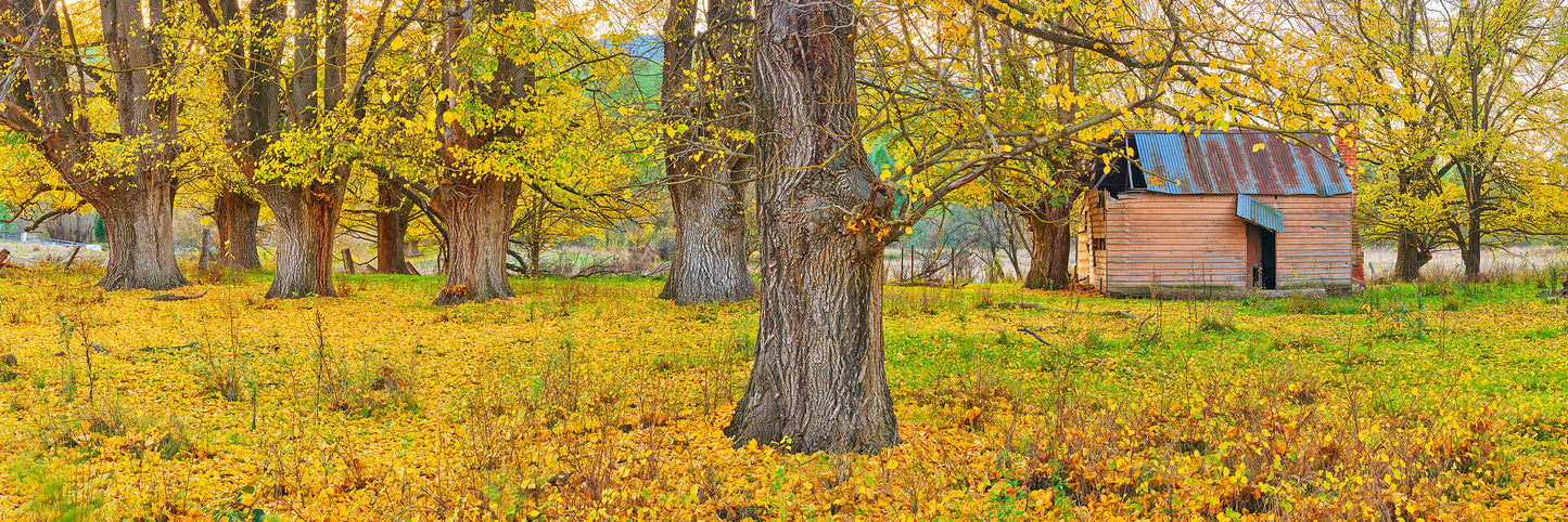 Autumn Hues, Mudgegonga VIC