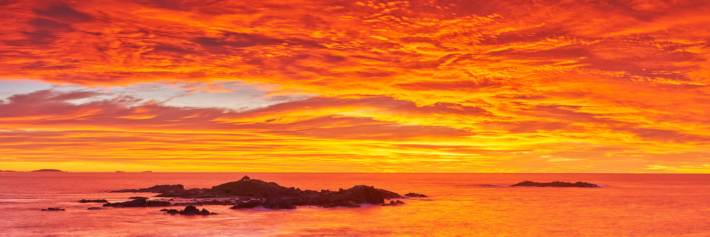 Winter Colour, Sawtell NSW