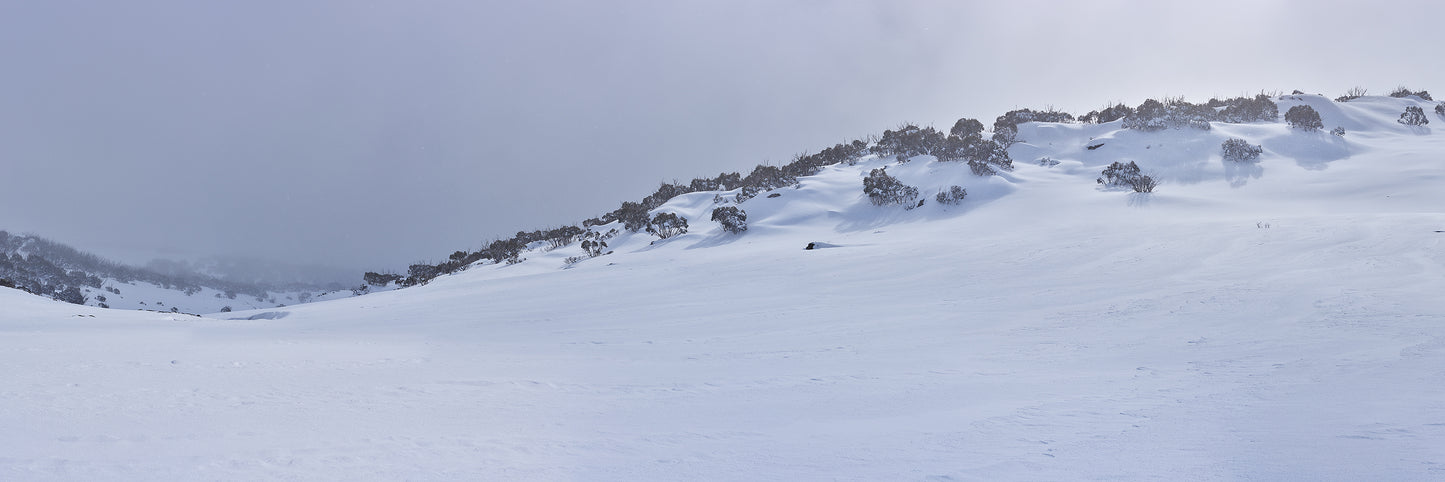 At Peace on the High Plains, Bogong High Plains VIC