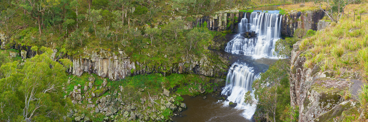 Ancient Splendour, Ebor NSW