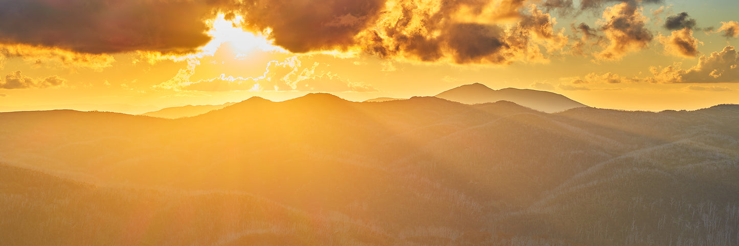High Country Gold, Bogong High Plains VIC
