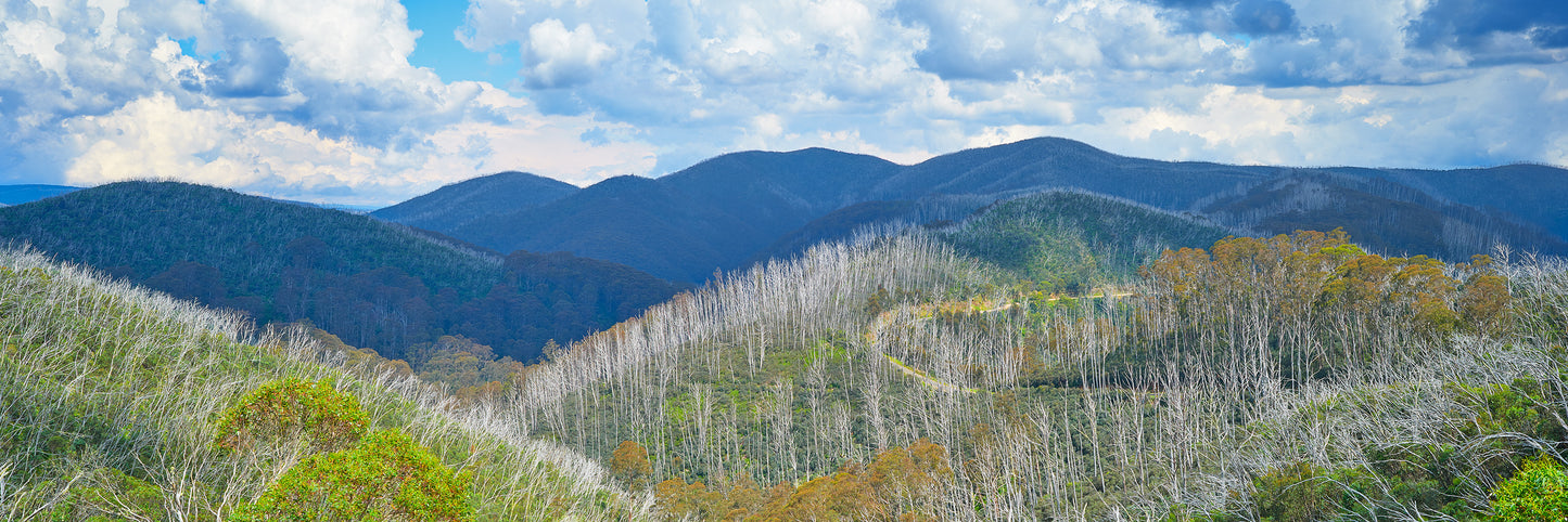 Contours, Mount Hotham VIC