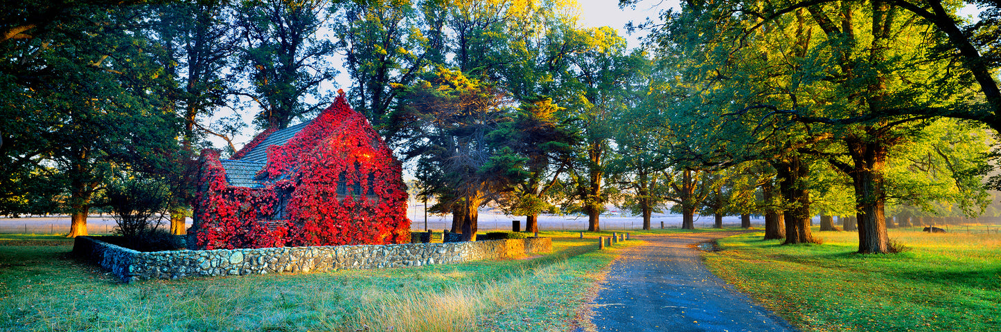 Going to the Chapel, Gostwyck NSW