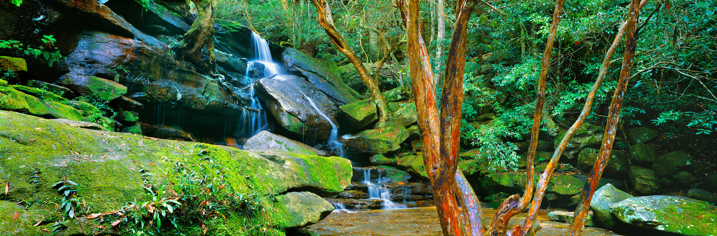 Lower Somersby Falls, Somersby NSW
