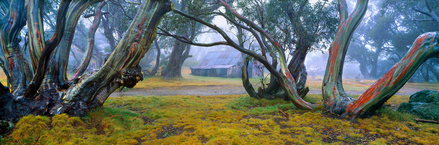 Solitude, Wallace Hut, Falls Creek VIC