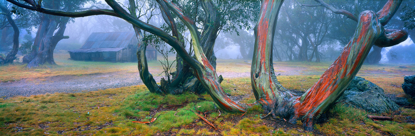 Seldom Seen, Wallace Hut, Falls Creek VIC