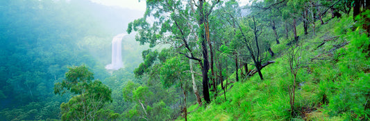 Lower Ebor Falls, Ebor NSW
