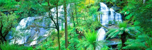 Reviving Waters, Great Otway National Park, Victoria