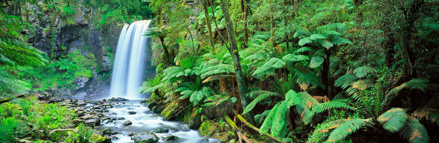 Falls Of Hope, Great Otway National Park, Victoria