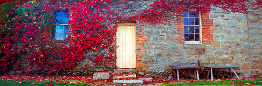 Autumn's Delight, Beechworth VIC
