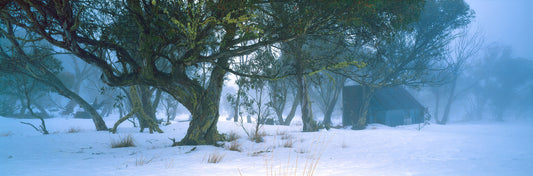 Winter's Mystery, Dinner Plain VIC