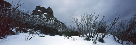 Winter's Embrace, Mount Buffalo VIC