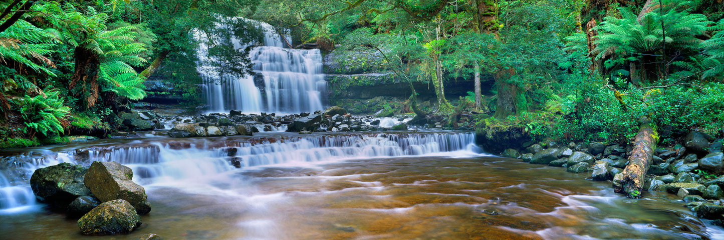 Serenity, Liffey Falls TAS