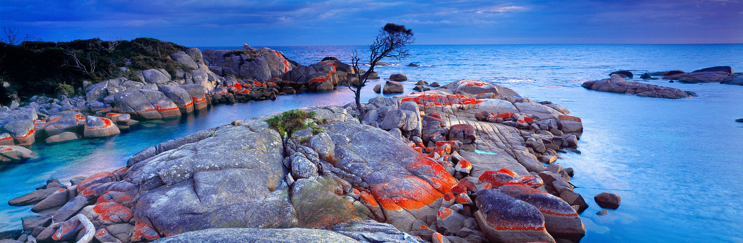 Endurance, Binalong Bay, TAS