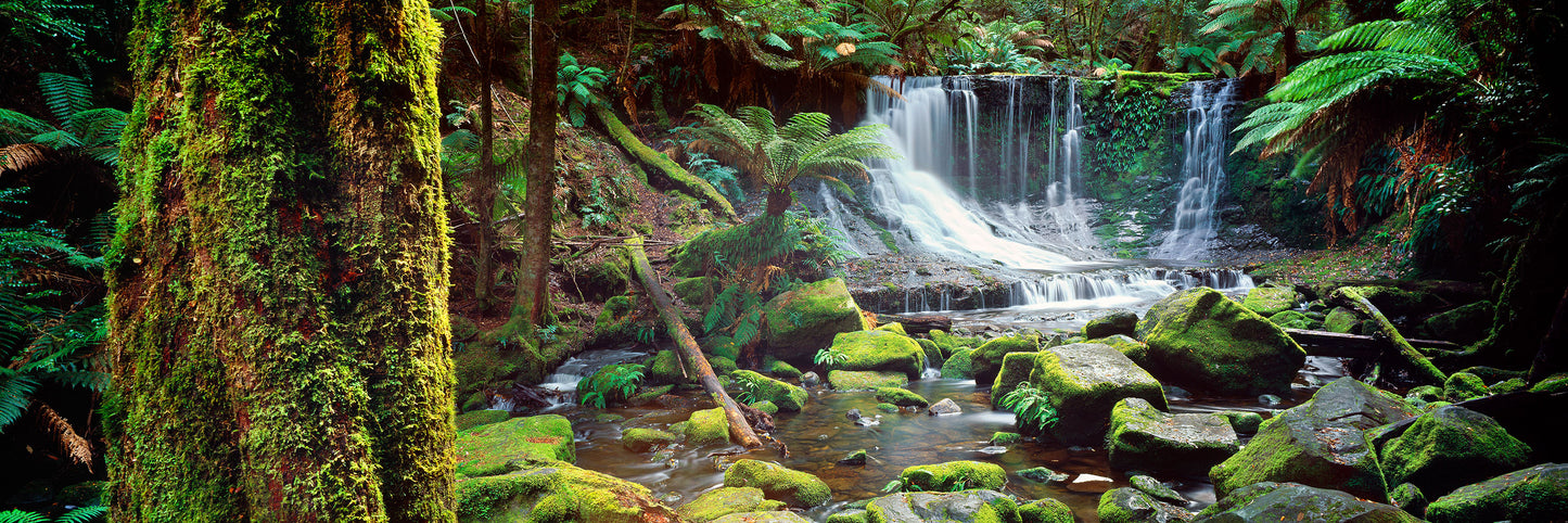 Emerald Paradise, Mount Field National Park TAS