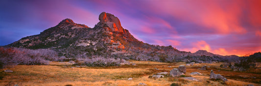 High Country Daydream, Mount Buffalo VIC