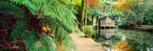 A Secret Garden, Dandenong Ranges VIC