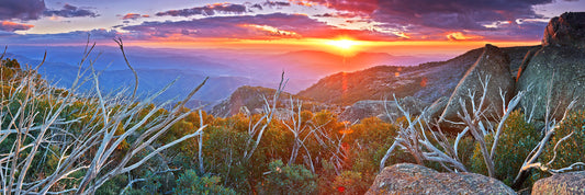 Into the Night, Mount Buffalo VIC