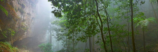 Mystique, Katoomba NSW