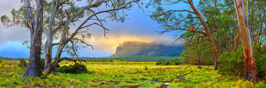 Mystery, Pelion Plains TAS