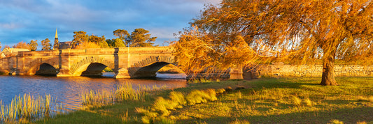 Shadows of Days Past, Ross TAS