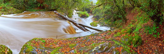 With the Flow, Ridgley TAS