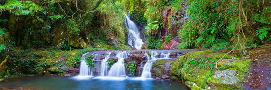 Peace, Lamington National Park, QLD