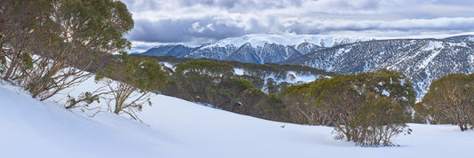 Transition, Falls Creek, VIC
