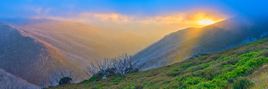 Wildness, Falls Creek, VIC