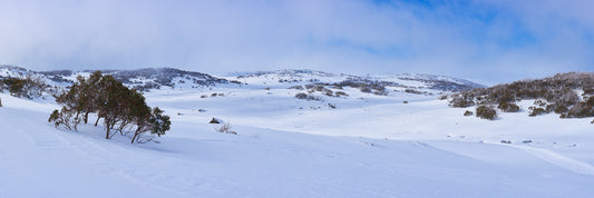 A Vast Expanse, Bogong High Plains VIC