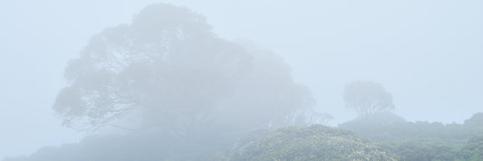 Ethereal, Bogong High Plains VIC