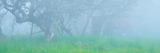 Spirit of the High country, Dinner Plain VIC