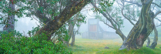 High Plains Heritage, Bogong High Plains VIC