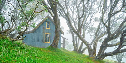 Menzies of the High Plains, Bogong High Plains VIC